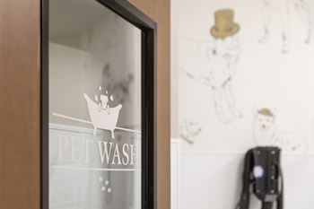 Pet wash